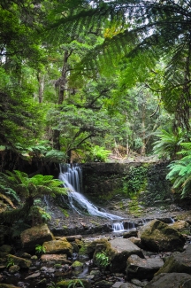 Horseshoe Falls, Mt Field National Park, Tasmania, Australia